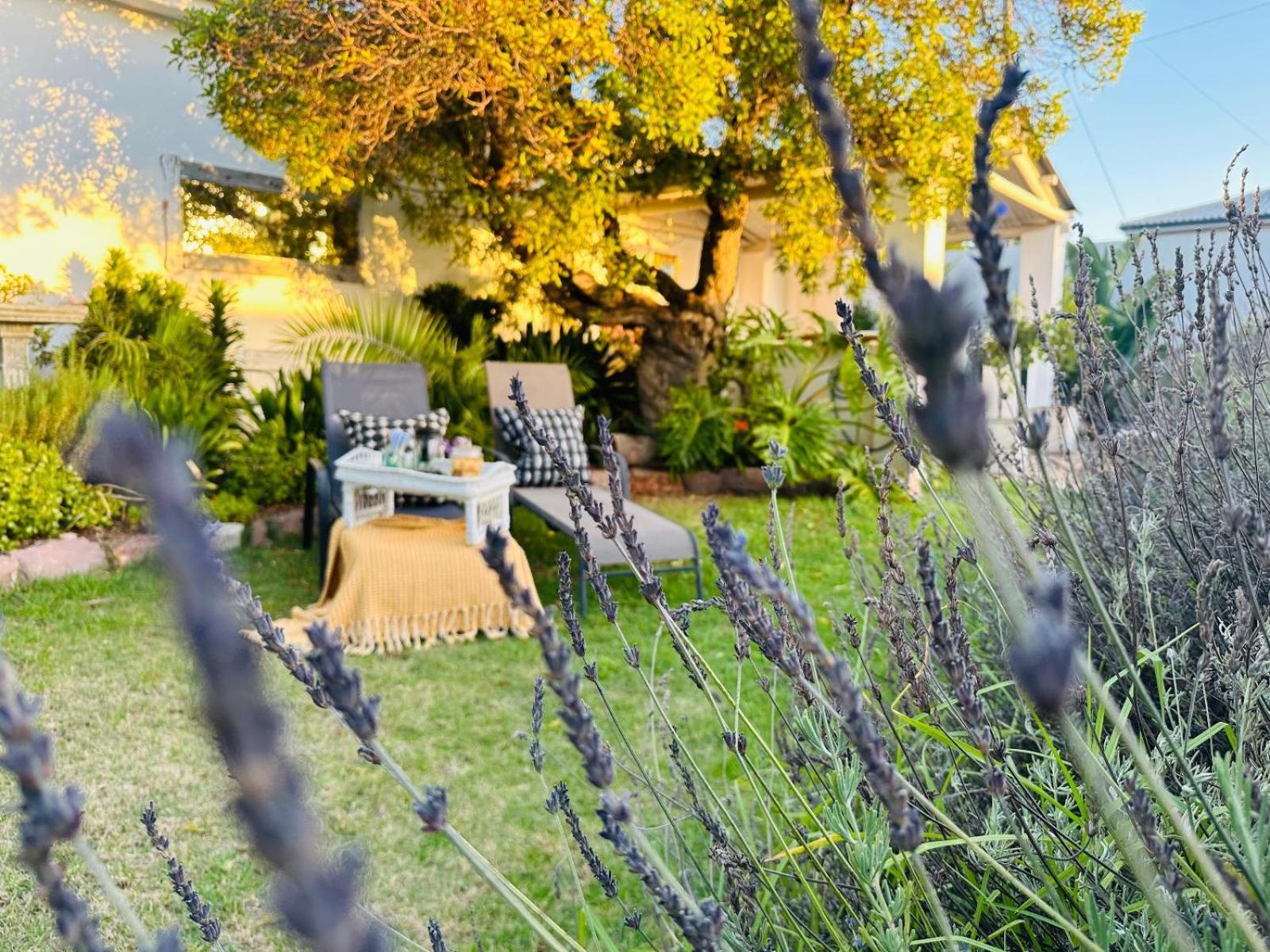 Villa Da Graca - Homecooked Meals On Arrangement Mossel Bay Exterior foto